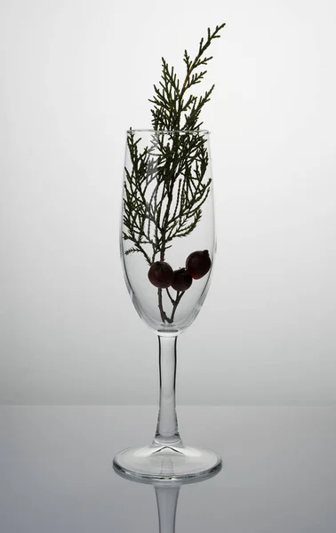 Fondo de vacaciones abstracto con una copa de champán con una rama de coníferas sobre un fondo claro. — Foto de Stock