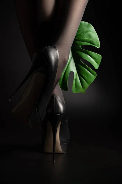 Womens feet in high-heeled shoes and a leaf of a tropical plant on a black background.