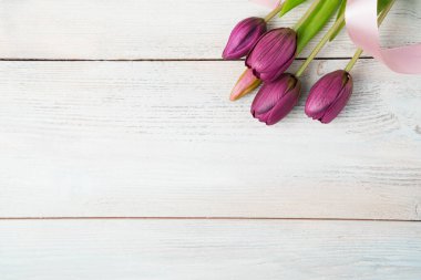 Beyaz ahşap arka planda laleleri olan zarif şenlikli bir arka plan..