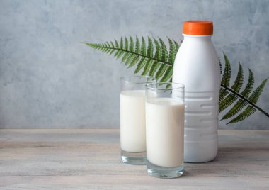 İki bardak süt ve eğrelti otu yapraklı gri arka planda bir süt şişesi. Kopyalama alanı olan yan görünüm.