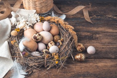 Güzel bıldırcın ve ahşap bir arka planda tavuk yumurtası ve kaliteli renklendirilmiş şenlikli bir arka plan..