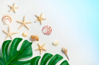 Deniz yıldızı, kabuk ve canavar yaprakları mavi-beyaz bir arkaplanda. Kopyalama alanı olan üst görünüm. Eğlence ve seyahat kavramı..