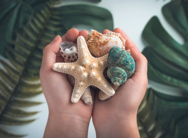 Different shells and starfish in the hands of a child on the background of tropical plants. Top view, close-up.