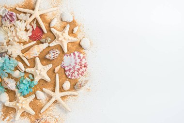 A large assortment of seashells and starfish on the beach sand on a white background. Sea background, horizontal view with space to copy. The concept of recreation, travel.