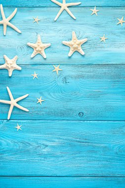 Açık mavi arka planda farklı türlerden beyaz denizyıldızı. Uzayı kopyala Dikey görünüm.