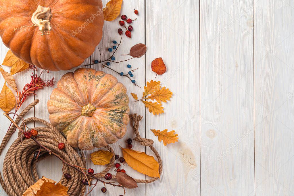 Background with autumn holiday decor. Pumpkins and autumn foliage on a wooden white background. The concept of Thanksgiving, Halloween.