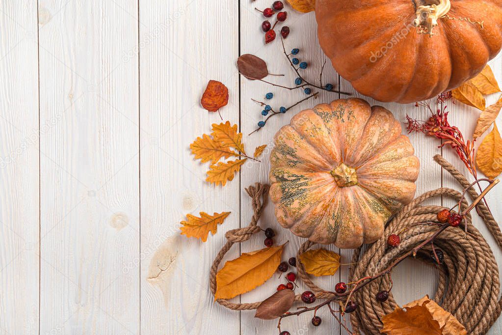 Autumn, festive background with pumpkins, berries and foliage on a white wooden background. Top view, copy space.