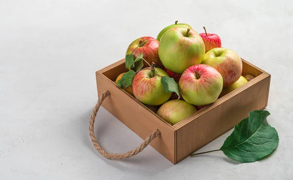 Ripe, natural apples in a wooden box on a gray background. Side view, space for copying. — Stock Photo, Image