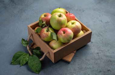 Koyu gri-mavi arka planda doğal çiftlik elmaları olan bir kutu..