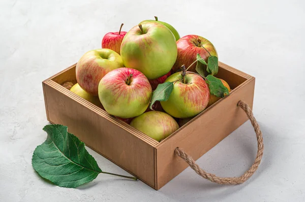 Organik, apel pertanian dalam kotak kayu. — Stok Foto