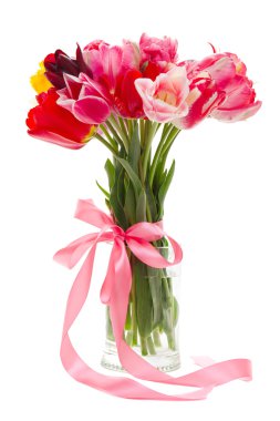 Taze Pembe Lale - seçici odak