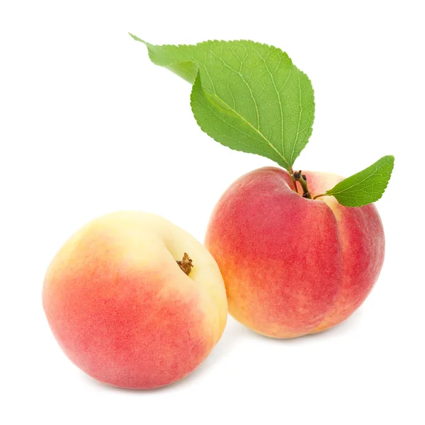 Taze kayısılar beyaz üzerine izole edilmiş.