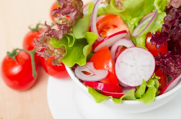 Salade van tomaten, rode uien en gedroogde brood - panzanella geïsoleerd op wit — Stockfoto