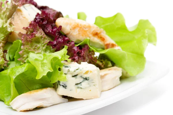 yeşil salata tavuk ve beyaz zemin üzerine mavi peynir ile