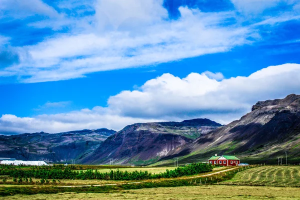 De natuur van IJsland in de zomer — Stockfoto