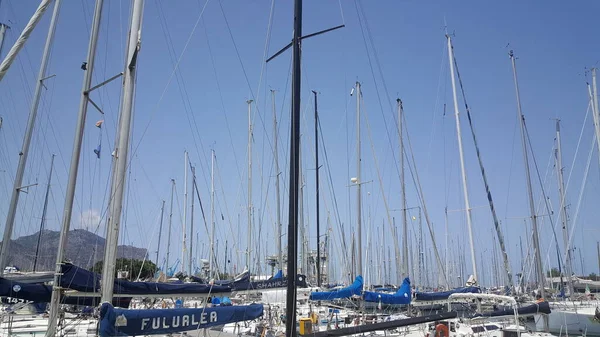 Boote Hafen Von Palermo Festgemacht Hochwertiges Foto — Stockfoto