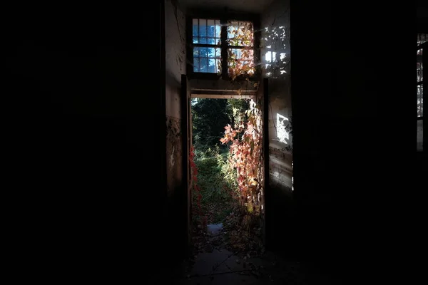 Door Grating End Corridor Abandoned House High Quality Photo —  Fotos de Stock