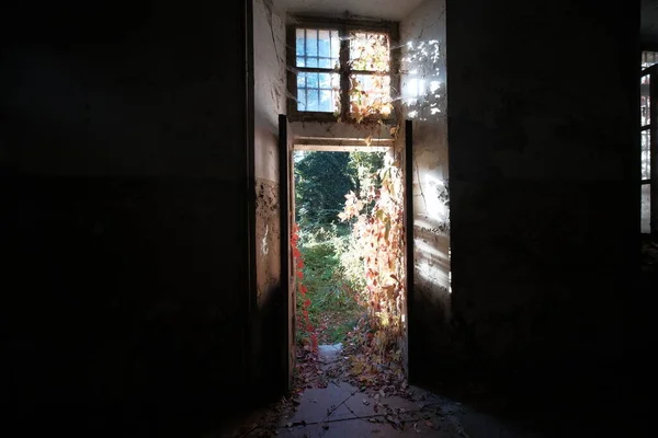 Door Grating End Corridor Abandoned House High Quality Photo — Stock Photo, Image