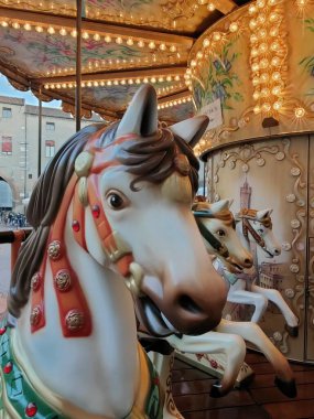 Atlıkarıncaların başı. Yüksek kalite fotoğraf