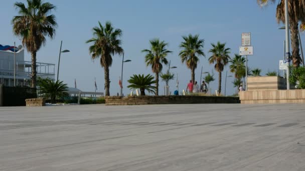 Promenada Lido Camaiore Viareggio Molo Wysokiej Jakości Materiał — Wideo stockowe