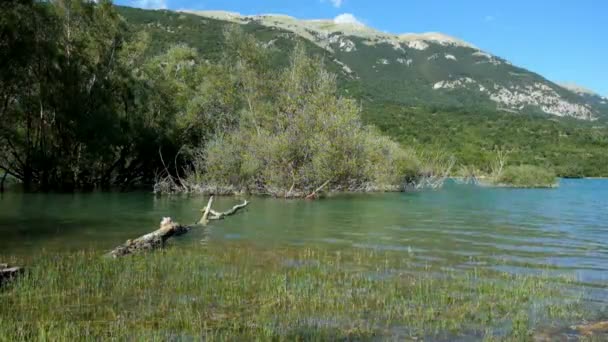 Πανόραμα Της Λίμνης Της Barrea Στο Abruzzo — Αρχείο Βίντεο