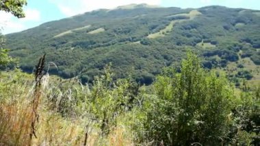 Güneşli bir günde Barrea Gölü yakınlarındaki Abruzzo Milli Parkı 'nın tepelerinin manzarası. Yüksek kaliteli FullHD görüntüler
