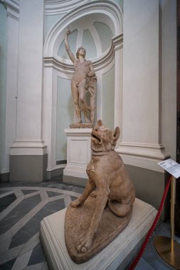 İtalya 'nın Floransa kentindeki Uffizi Galerisi' ndeki kırmızı mermer kaplı molosser köpeklerinden biri. Yüksek kalite fotoğraf