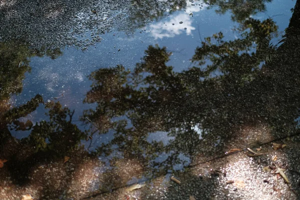 Sluiten Van Een Plas Water Weg Regen Met Bomen Blauwe — Stockfoto