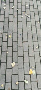 Üzerinde kuru yapraklar olan birbirine kenetlenmiş bloklarla kaplı bir caddenin üstünden bak. Yüksek kalite fotoğraf