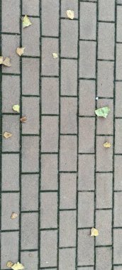 Üzerinde kuru yapraklar olan birbirine kenetlenmiş bloklarla kaplı bir caddenin üstünden bak. Yüksek kalite fotoğraf