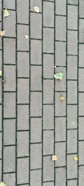 Vue Dessus Une Rue Pavée Blocs Entrelacés Avec Des Feuilles — Photo