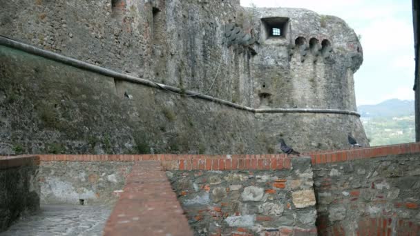 Benteng benteng benteng Sarzanello dinding dan jembatan eksternal di Liguria, Italia — Stok Video