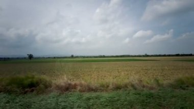 Aracın koşusundan görülen tarlalar. Yüksek kalite 4k görüntü