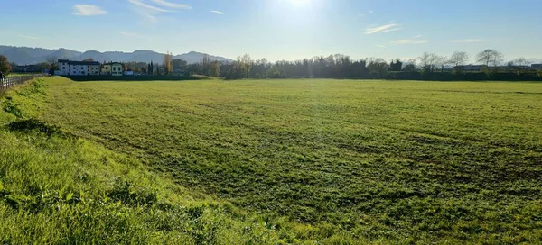 Pole Emilian Kopce Quattro Castella Slunečného Dne Modrou Oblohou Trochu — Stock fotografie