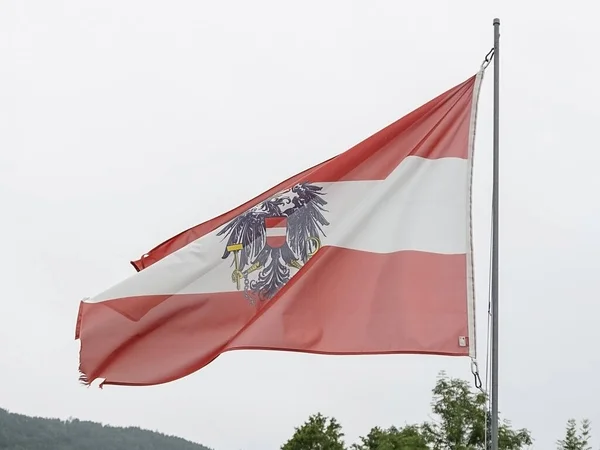 Austrian flag waving over cloudy sky. High quality photo