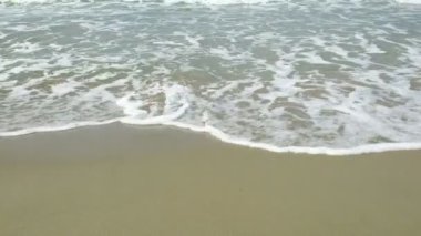 Sahilde dalgalar kopuyor. Yüksek kalite 4k görüntü