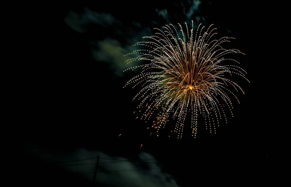 Beautiful Firework Black Sky Background High Quality Photo — Foto de Stock