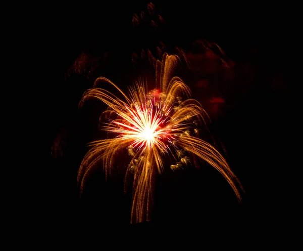 Belo Fogo Artifício Fundo Céu Preto Foto Alta Qualidade — Fotografia de Stock