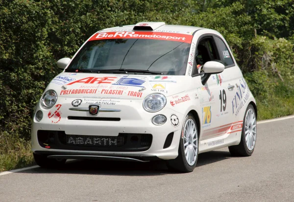 Reggio Emilia Italien 2010 Rallye Des Reggio Apennines Free Event — Stockfoto