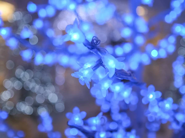 圣诞树装饰着蓝色的花灯 高质量的照片 — 图库照片