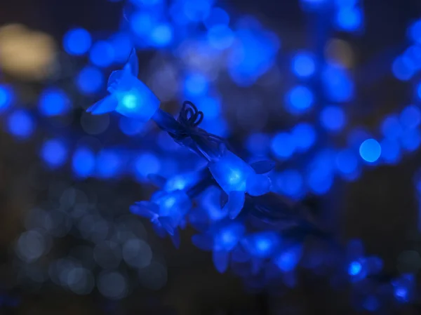 Albero Decorato Natale Con Luci Fiori Blu Foto Alta Qualità — Foto Stock