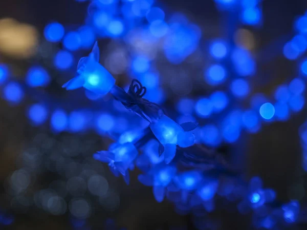 Árvore Decorada Para Natal Com Luzes Flores Azuis Foto Alta — Fotografia de Stock