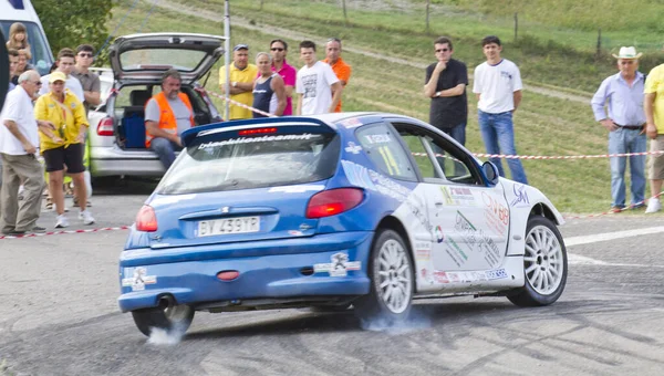 Reggio Emilia Itália 2010 Rally Reggio Apennines Free Event Foto — Fotografia de Stock