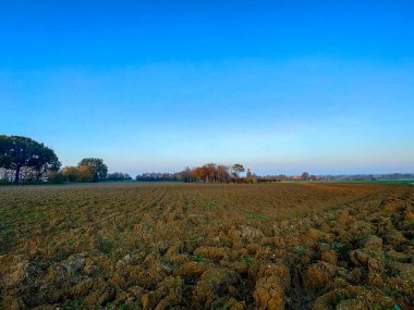 Emilian kırsalında gün batımında tarla, İtalya. Yüksek kalite fotoğraf