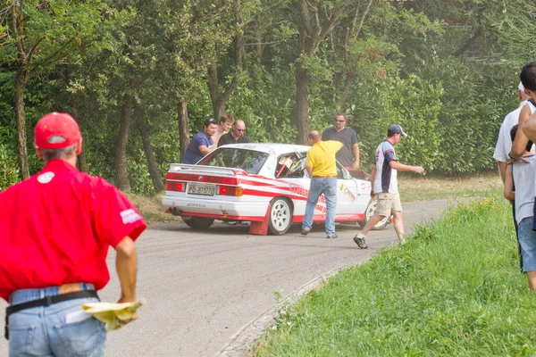 Reggio Emilia Italien 2010 Rallye Des Reggio Apennines Free Event — Stockfoto