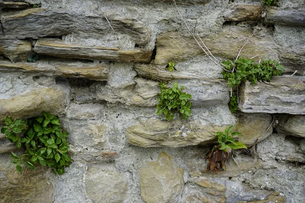 Old Stone Wall Brick Pattern Background Sunny Day High Quality — Stock Photo, Image