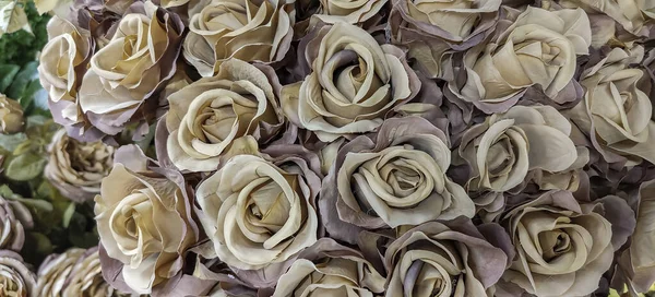 Gros Plan Belles Roses Roses Anciennes Jaunes Crème Photo Haute — Photo