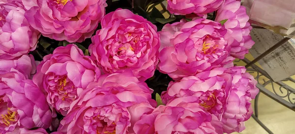 Közelről Gyönyörű Lila Bazsarózsa Virágok Kiváló Minőségű Fénykép — Stock Fotó