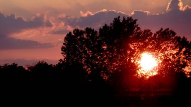 Gün batımında ağaçların arasından kırmızı güneş. Yüksek kalite fotoğraf