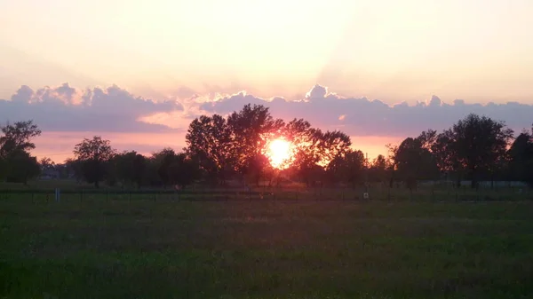 Red Sun Sunset Trees High Quality Photo — Stock Photo, Image